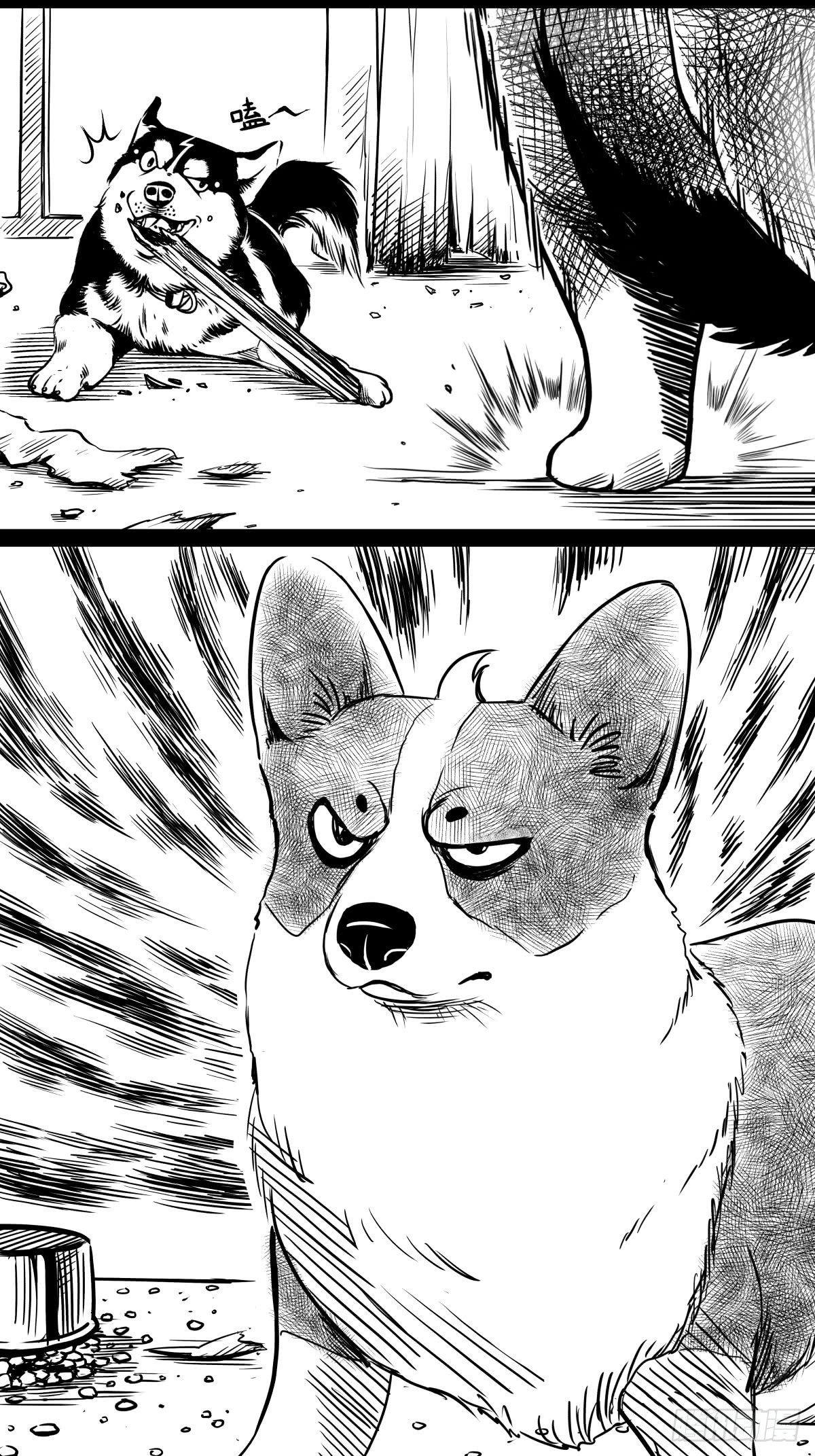 家里有矿啊，敢养哈士奇？(1/3)-第39话