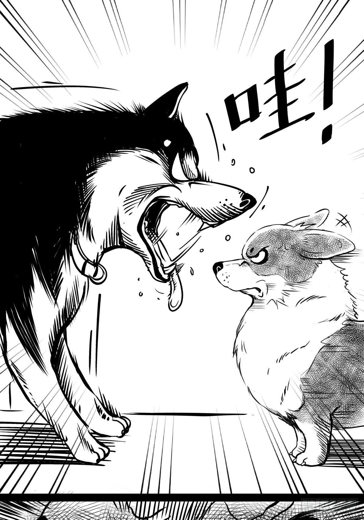 家里有矿啊，敢养哈士奇？(1/3)-第39话