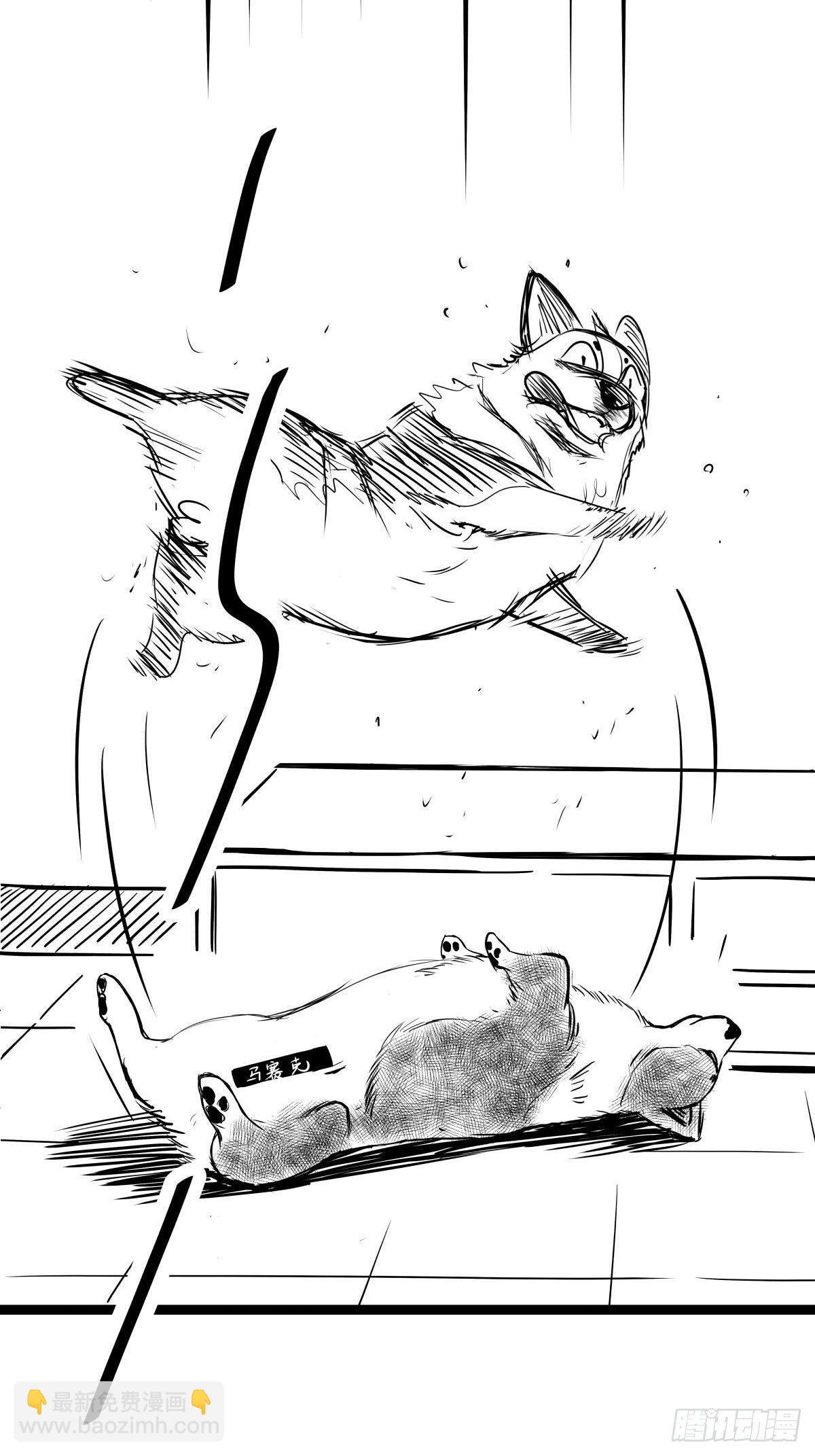 把根留住！(1/3)-第41话