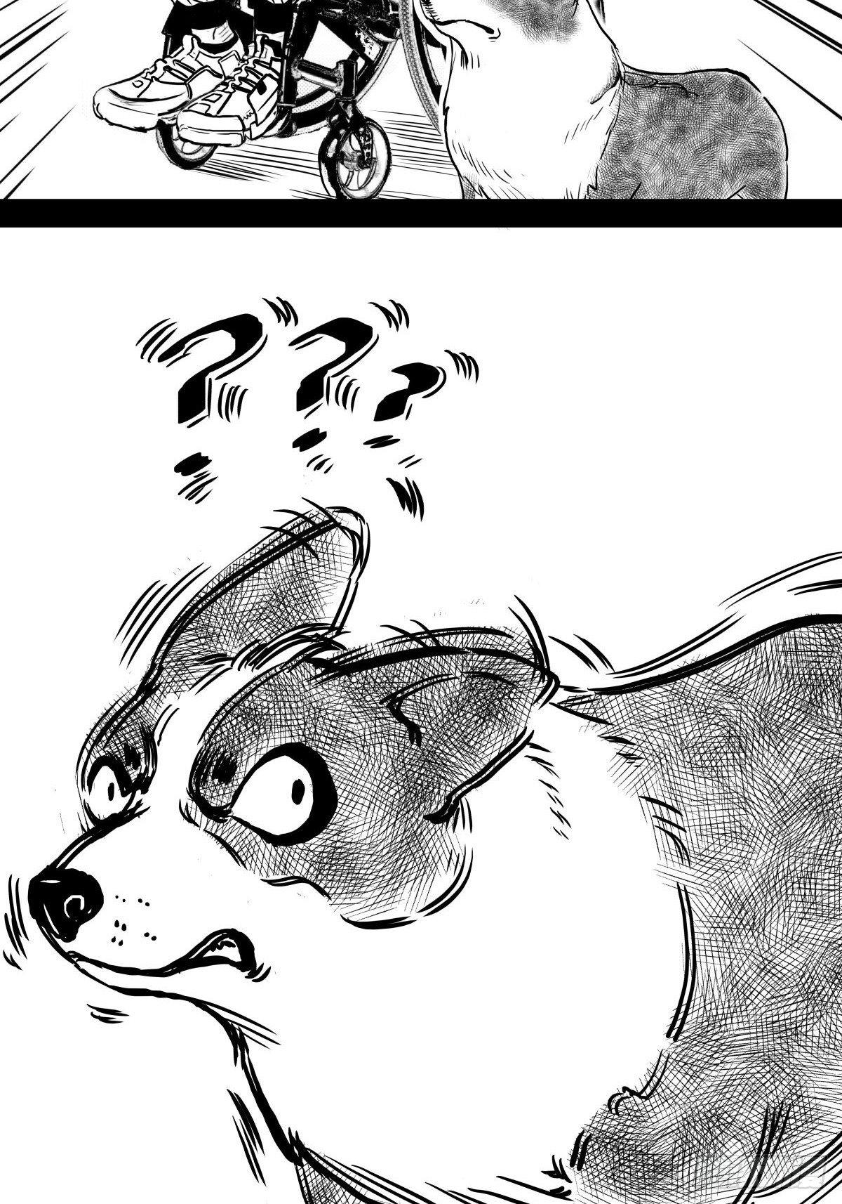 把根留住！(1/3)-第41话