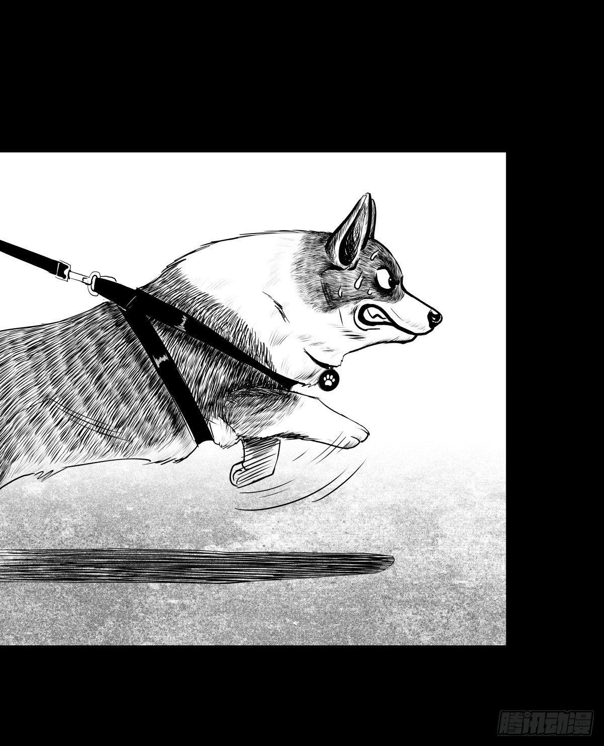 残疾人飙车(1/3)-第9话