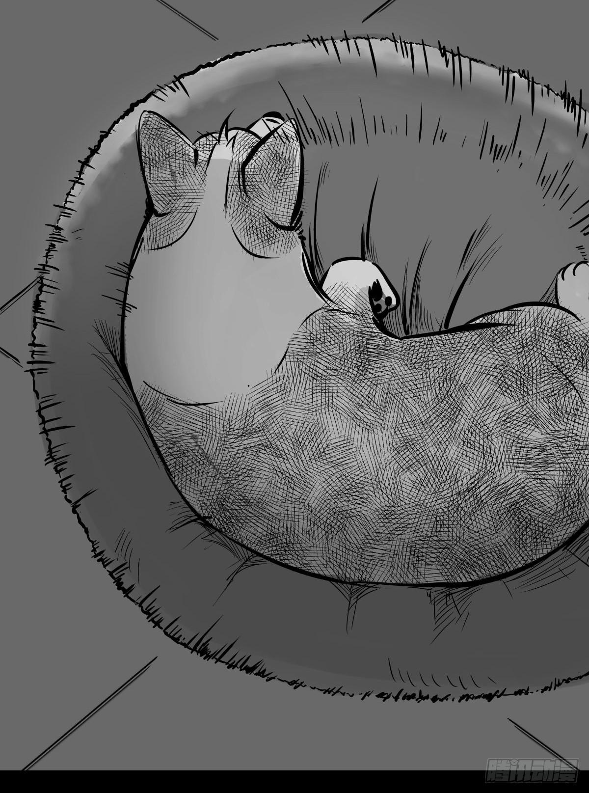 最后的耍猴人(1/3)-第51话