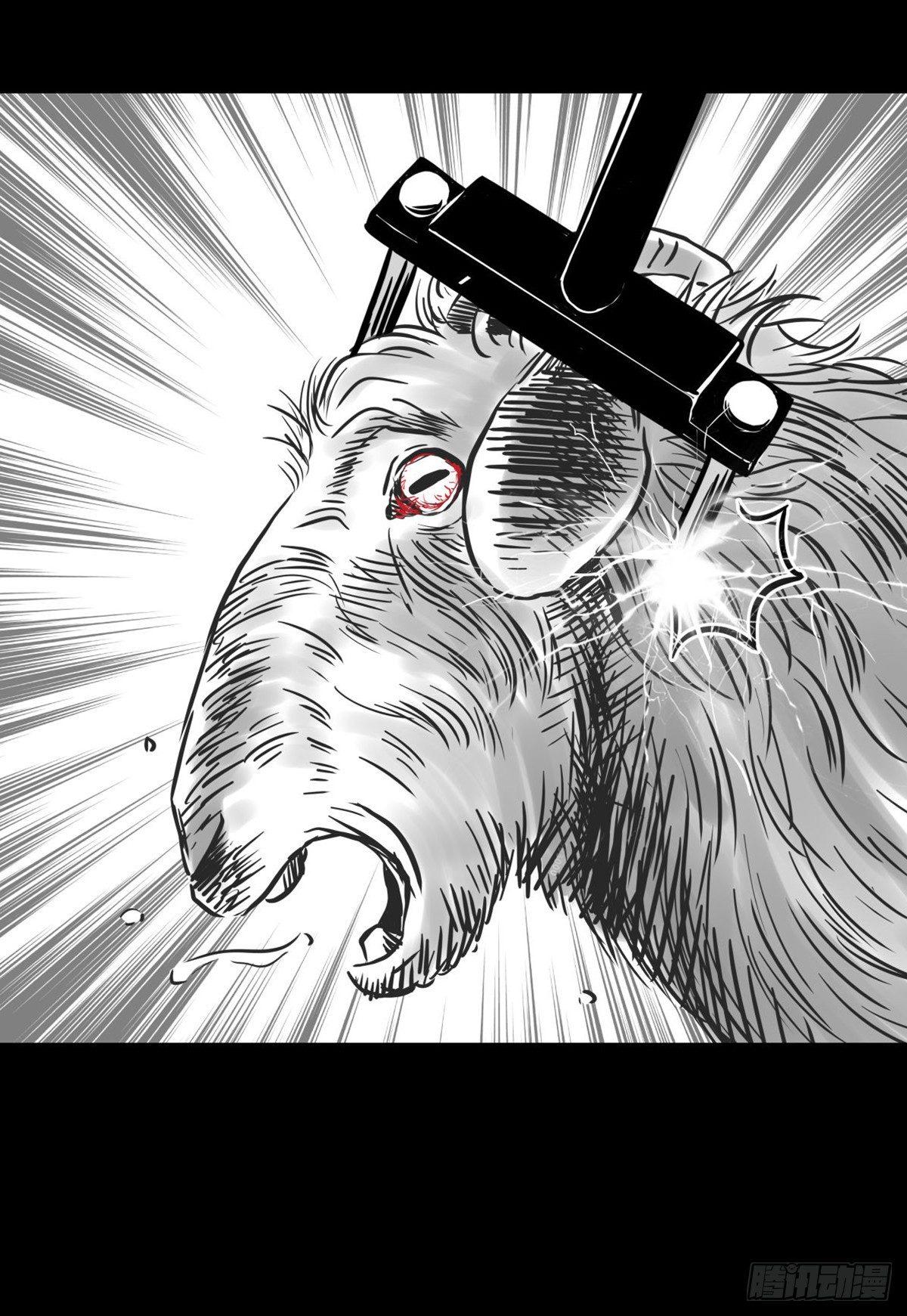 真的很绝望啊(1/2)-第25话