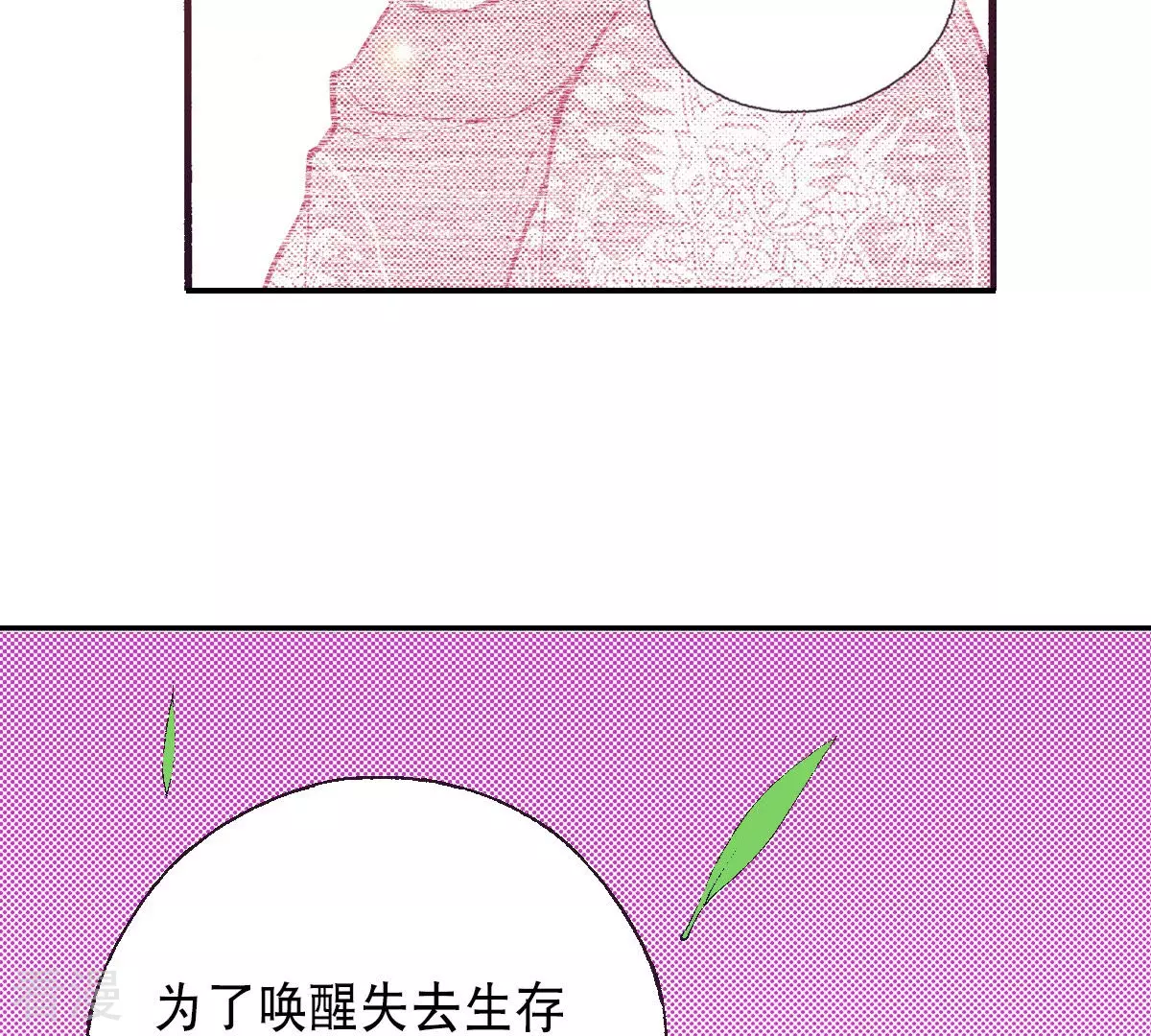 第197话 各自的道路(1/2)-第197话