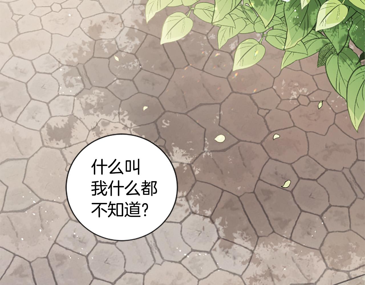 第25话 骑士动心(1/3)-第25话