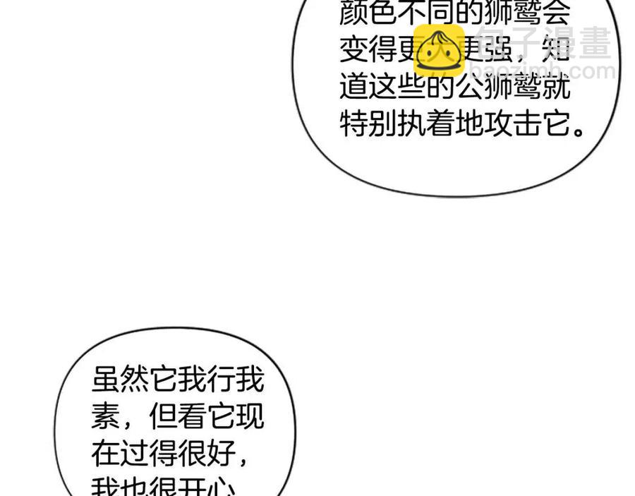 第39话 让圣女出门吧！(1/3)-第39话