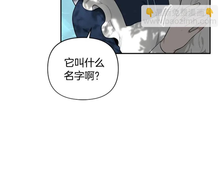 第39话 让圣女出门吧！(1/3)-第39话