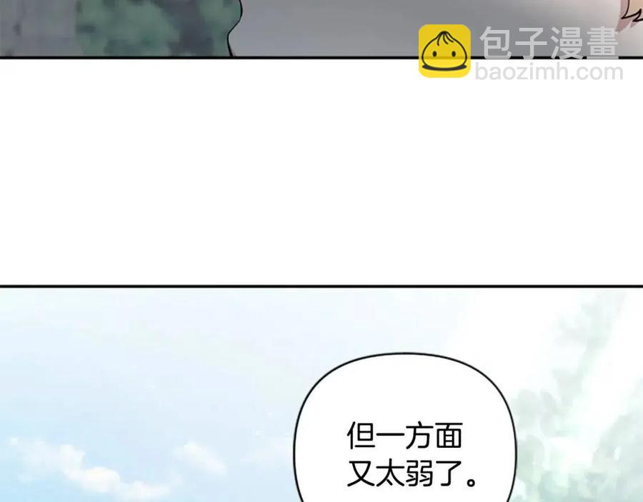 第45话 兔子该做的事(1/3)-第45话