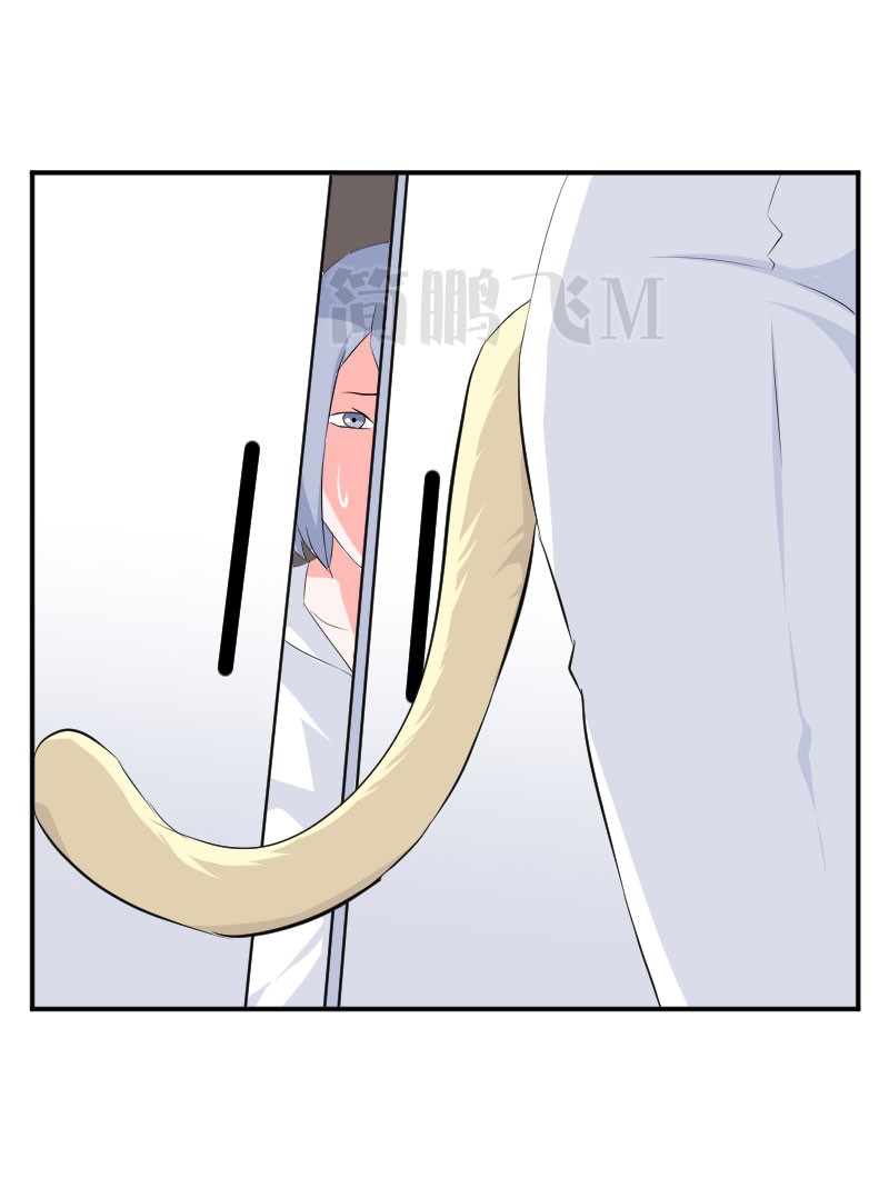 第十三删  猫恩（下）-第33话