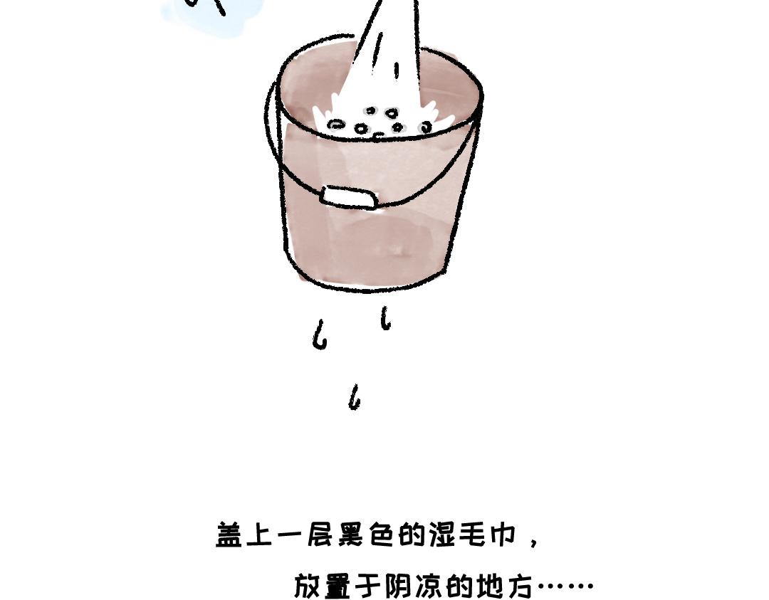 种豆芽4