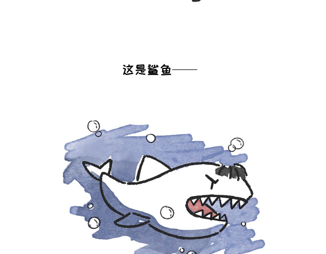 恋爱守则-第29话