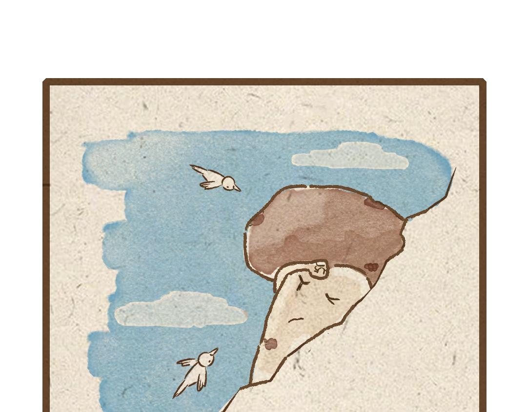 杏鲍菇的故事-第5话