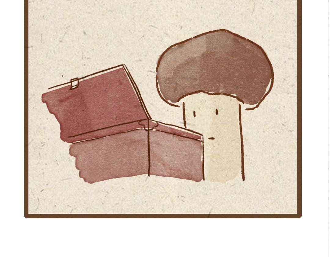 杏鲍菇的故事-第5话