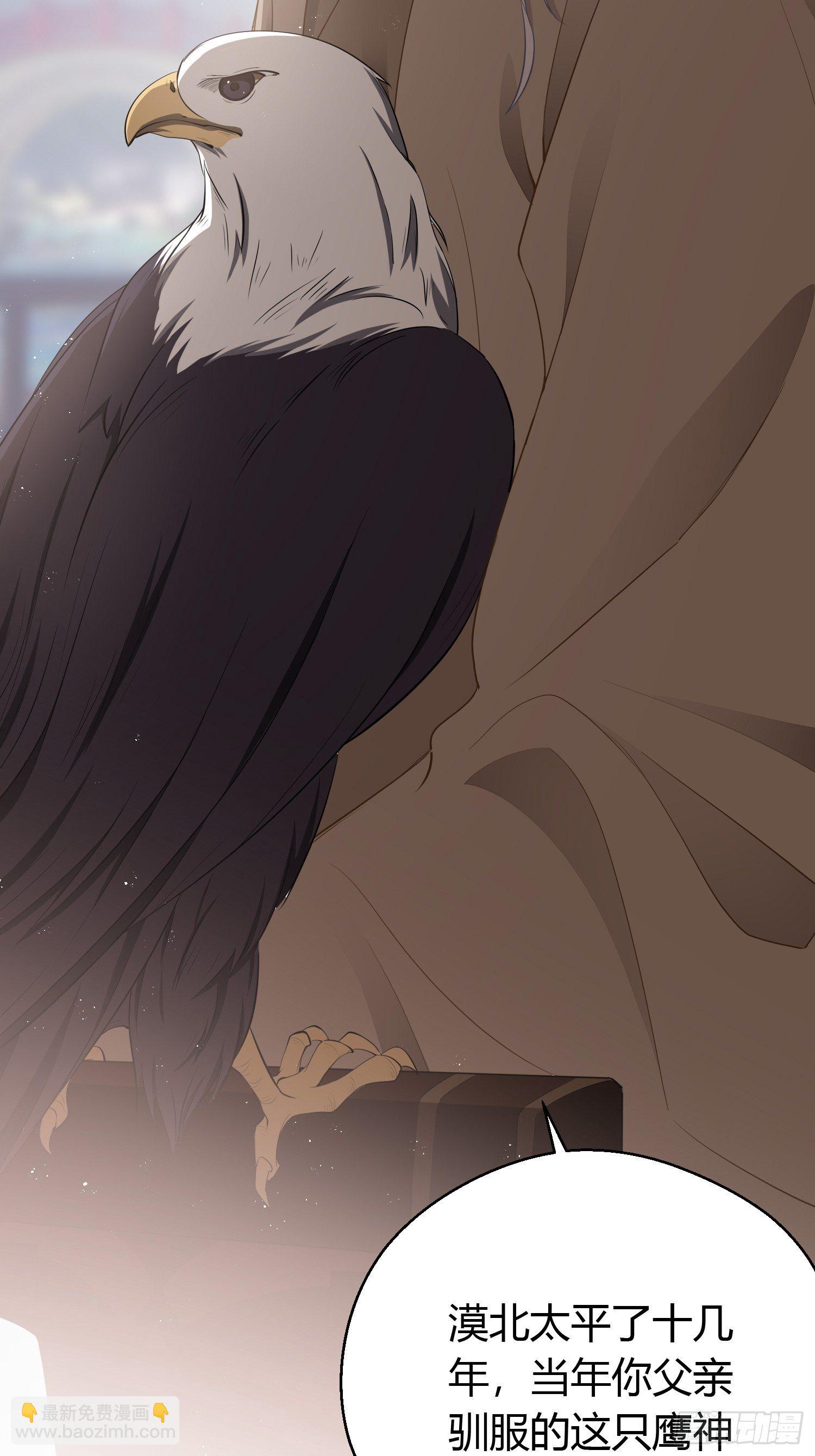 第二十五话 鹰神(1/2)-第37话