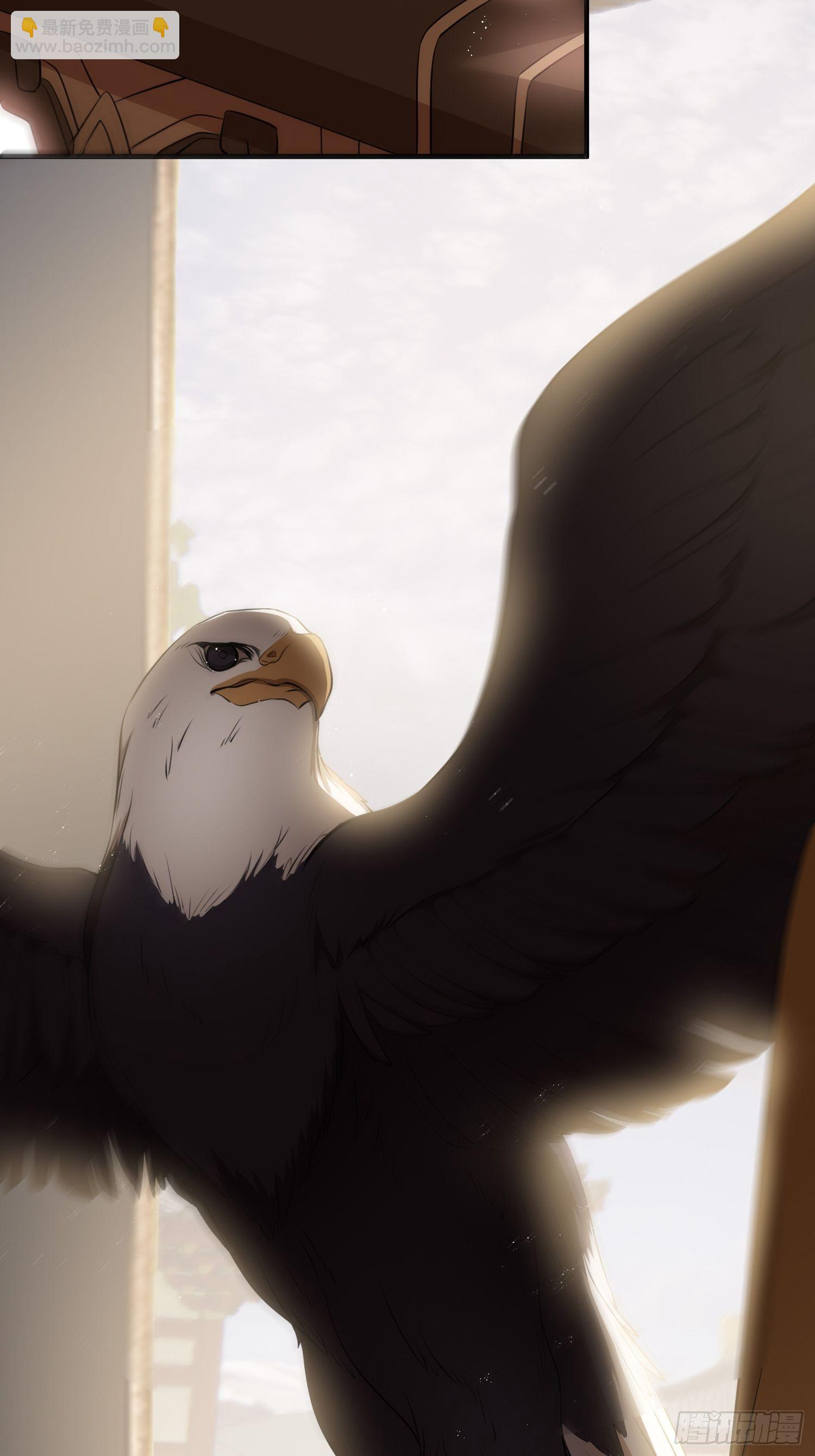 第二十五话 鹰神(1/2)-第37话