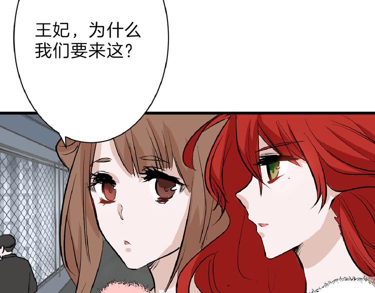 第59话 胎儿颜值鉴定(1/4)-第59话