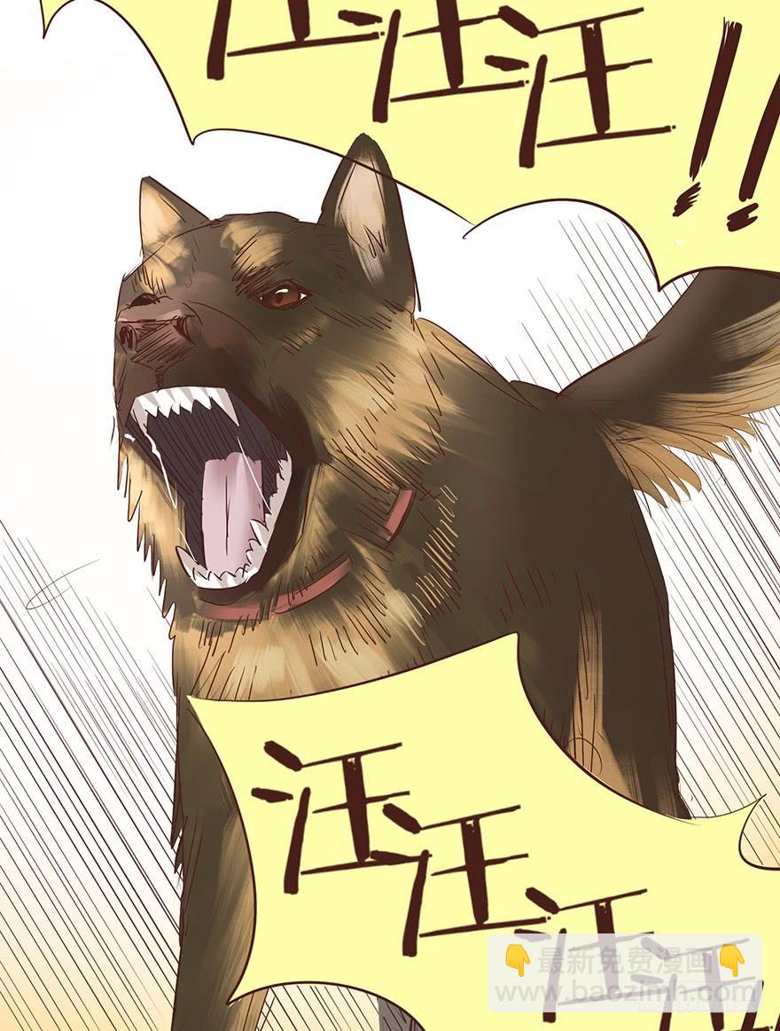 勇者斗恶龙-第135话