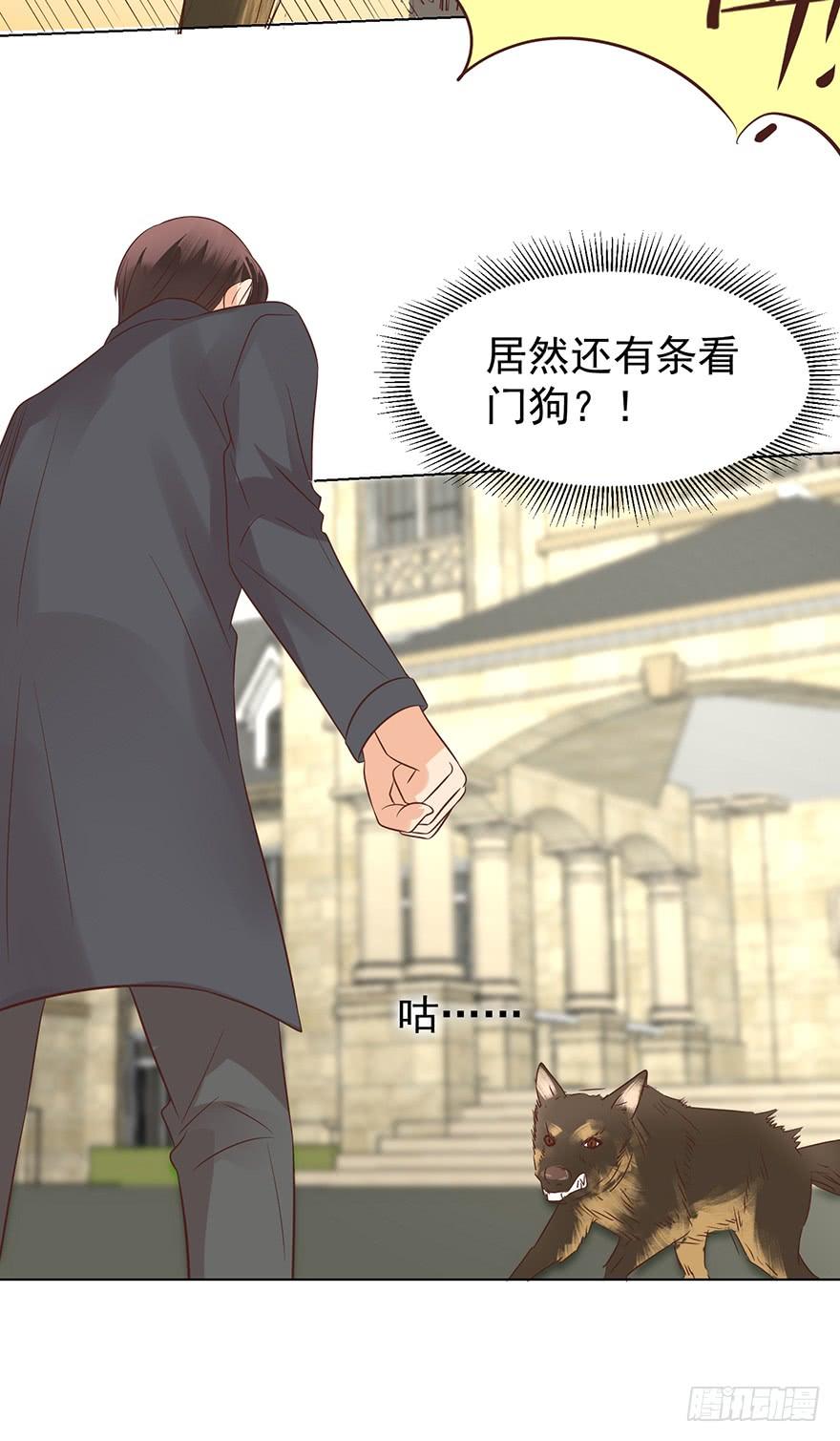 勇者斗恶龙-第135话