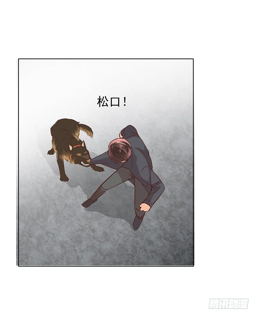 勇者斗恶龙-第135话