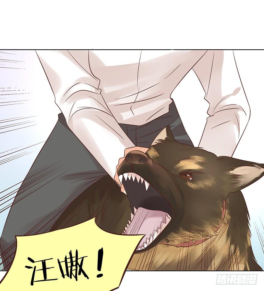 勇者斗恶龙-第135话