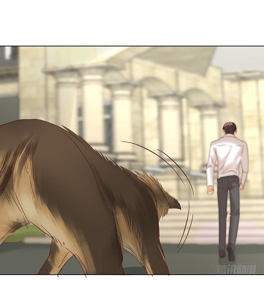 勇者斗恶龙-第135话