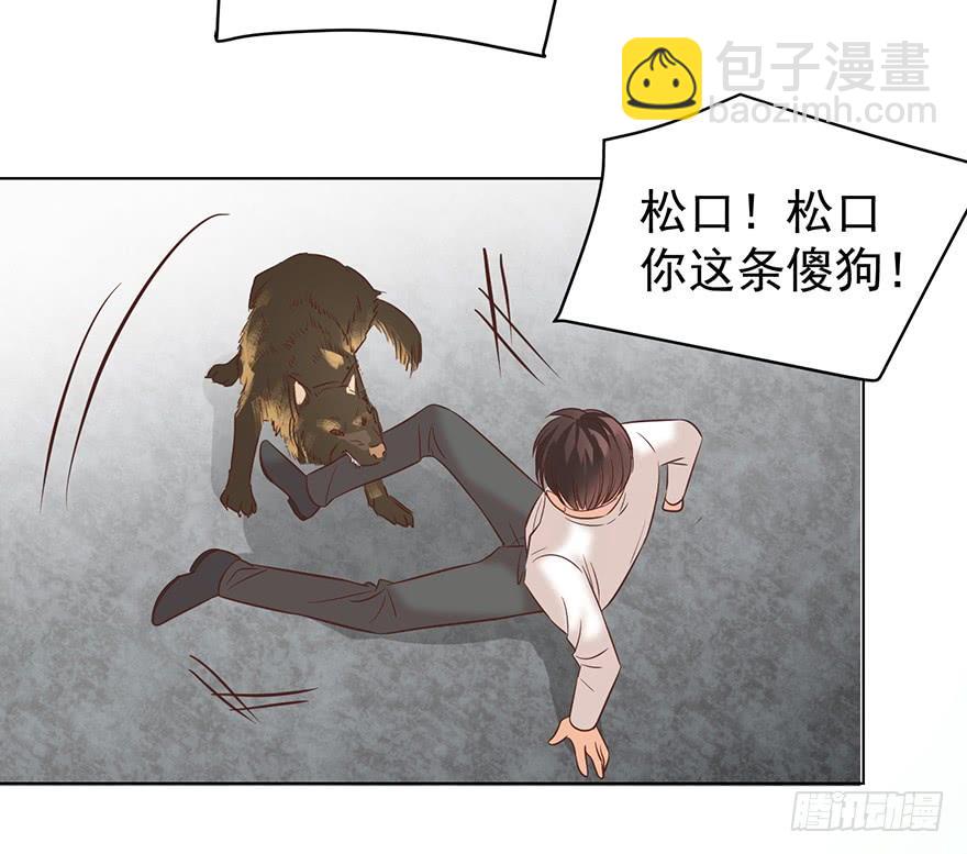 勇者斗恶龙-第135话