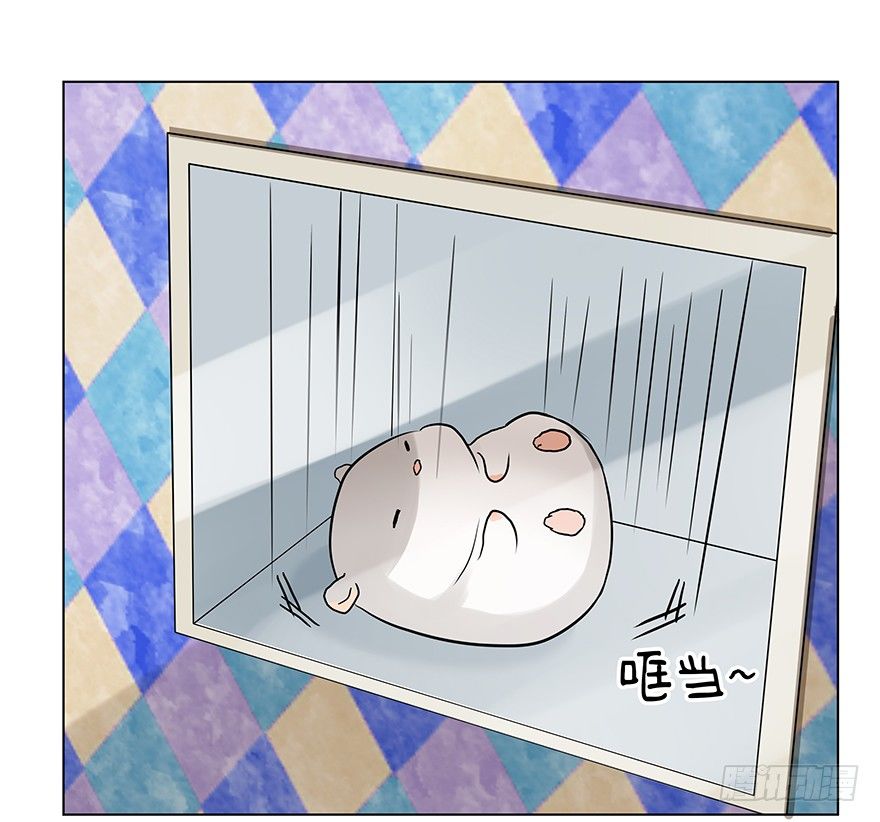 &ldquo;唯一心愿&rdquo;-第53话