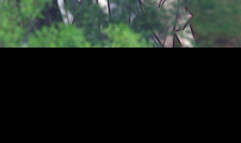 第17话 奸情(1/2)-第17话