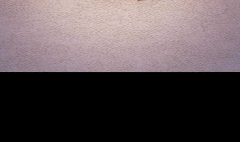 第167话 竭尽全力(1/2)-第163话