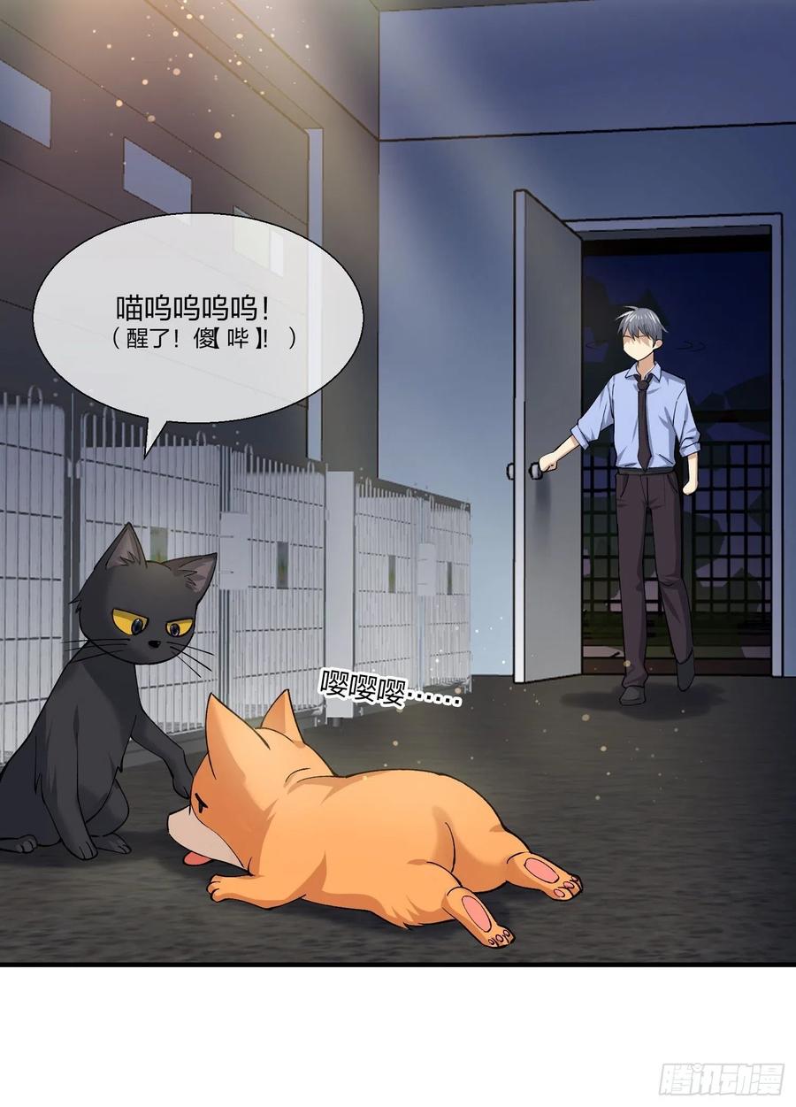 黑猫小分队-第137话