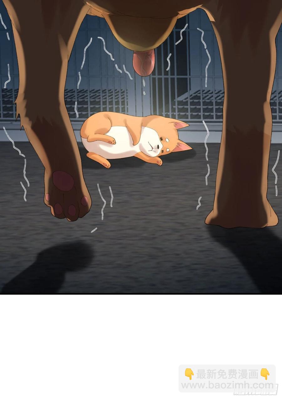 黑猫小分队-第137话