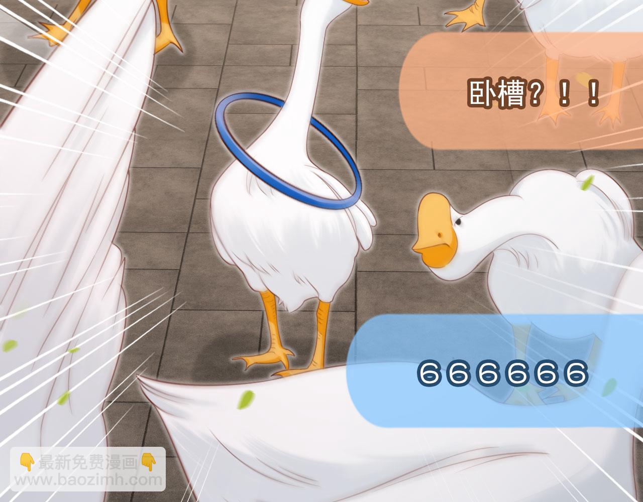 第50话：你觉得我腰不好？(1/2)-第51话