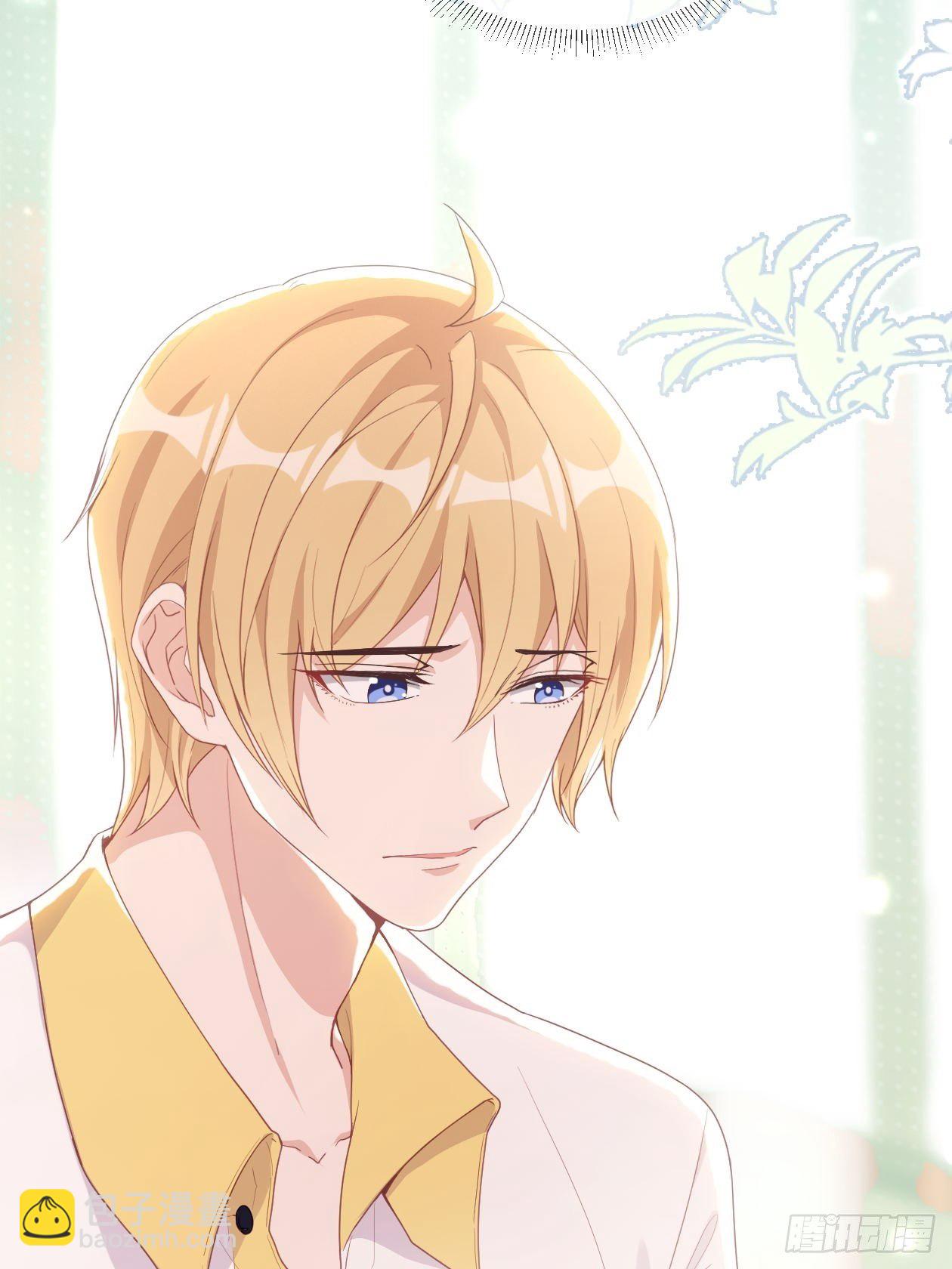 第11话 成为了明星！-第13话