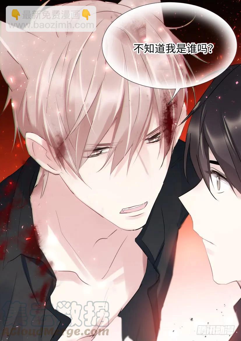 番外-兽人世界3-第95话