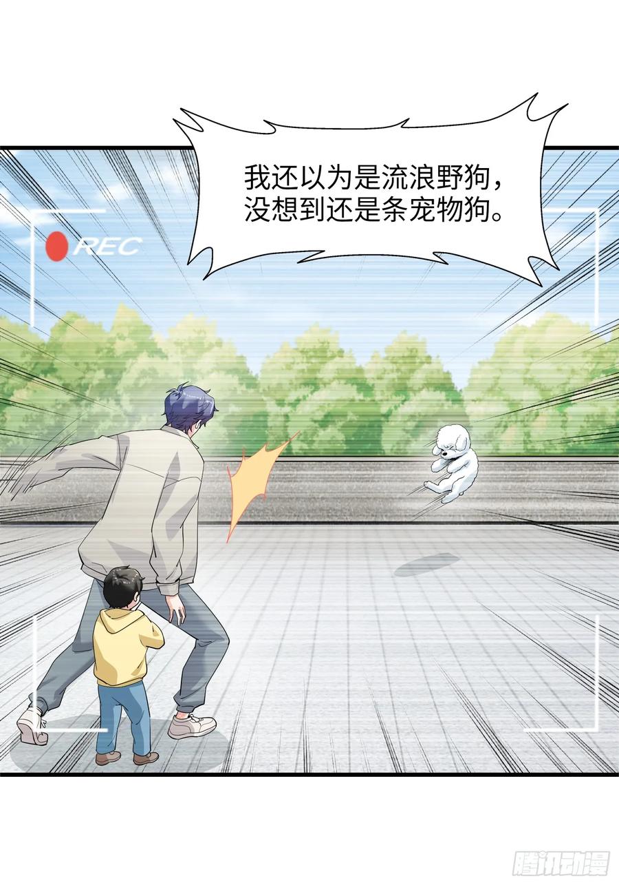 32集：爱宠人士vs虐宠变态(1/2)-第31话