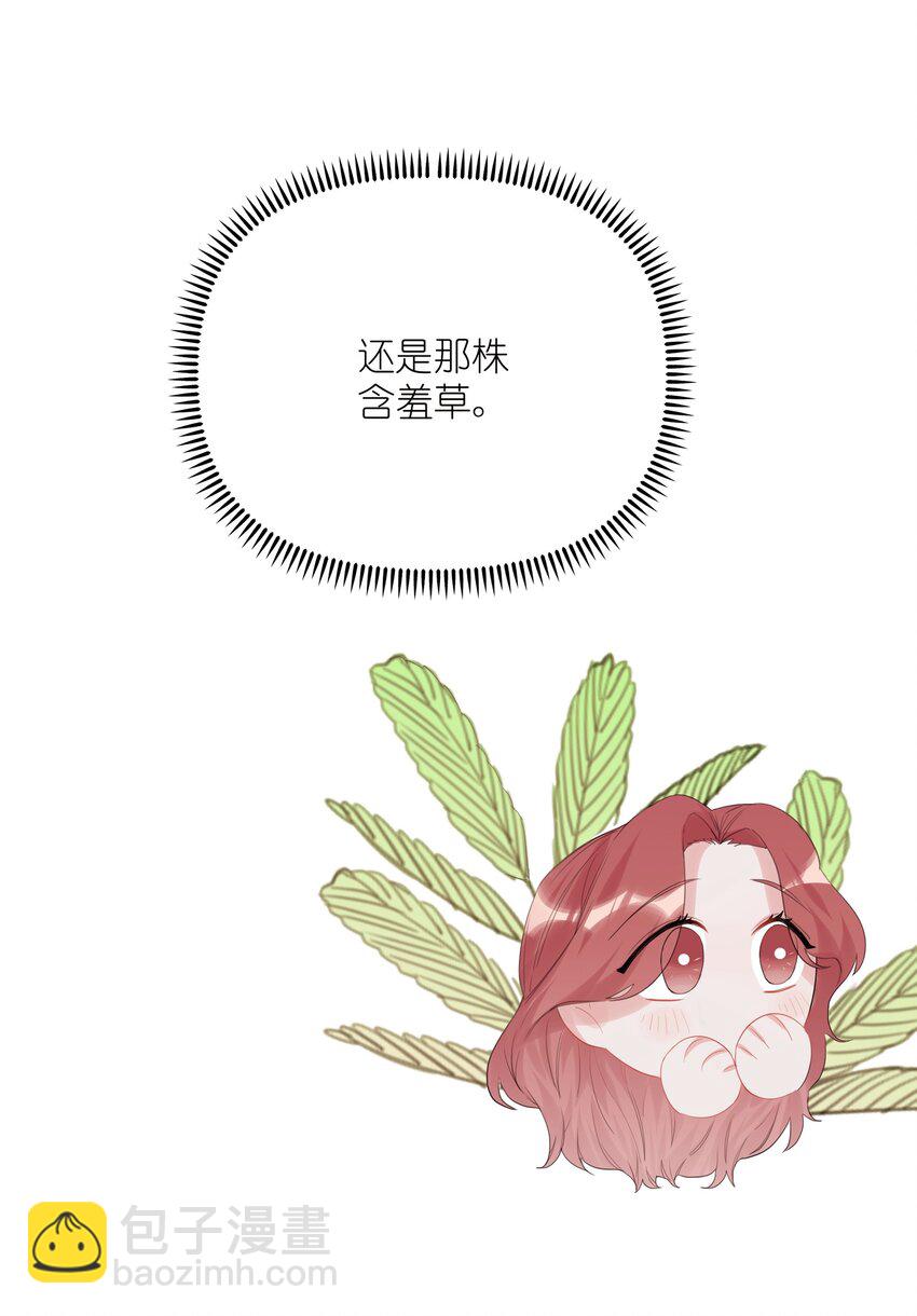 016 还是那颗含羞草-第17话