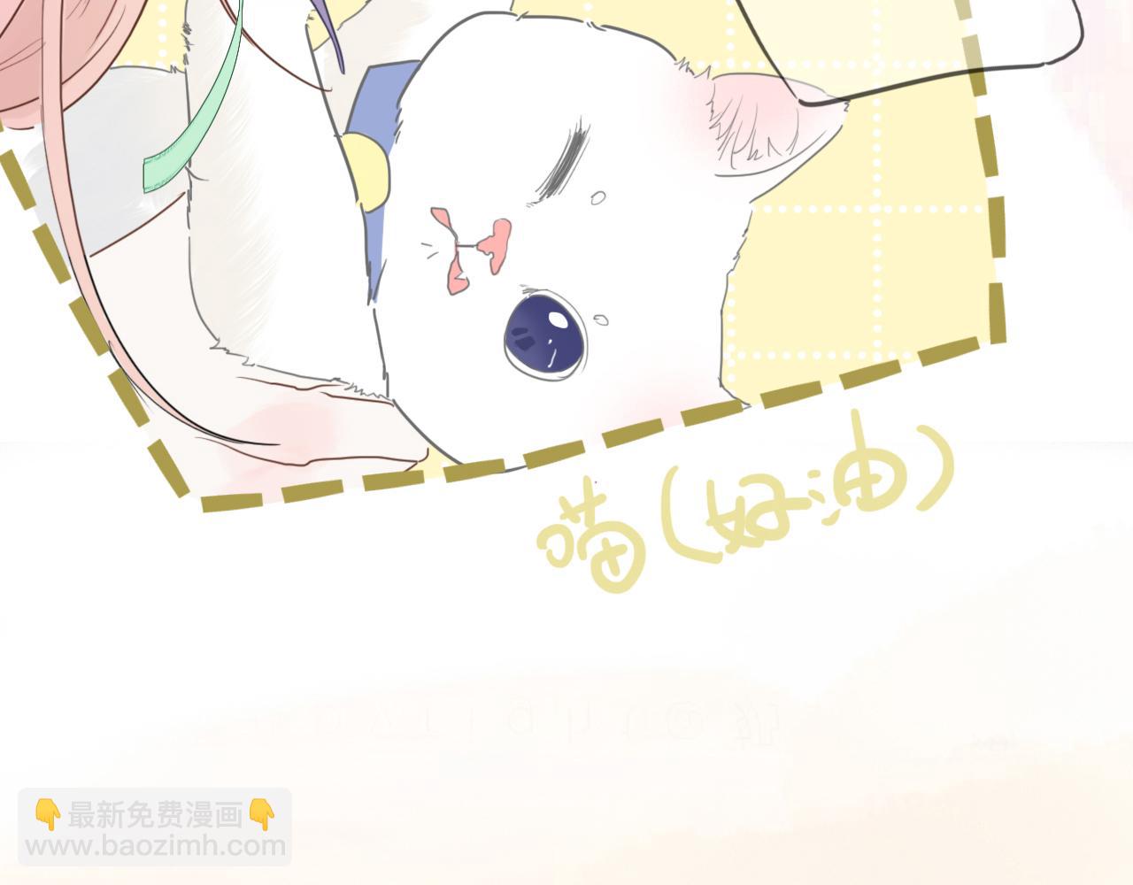 第八话 地下吸猫现场(1/2)-第11话