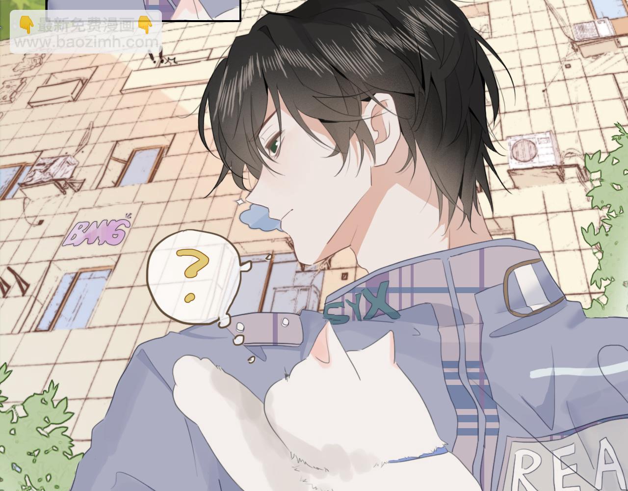 第二话  猫出没(1/2)-第3话