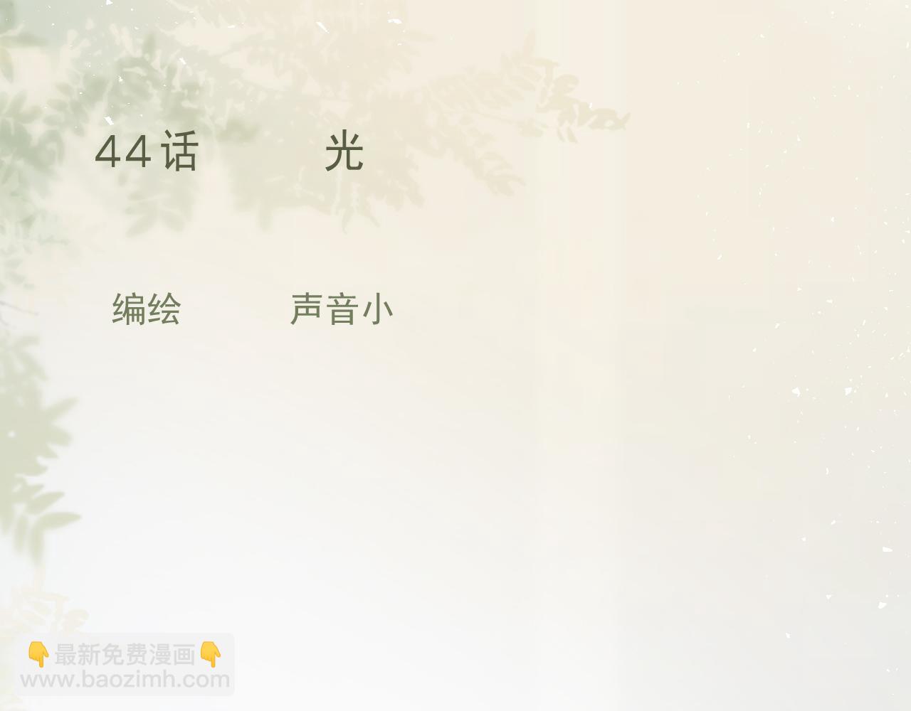 44话  光(1/2)-第47话