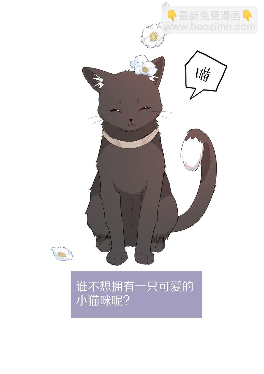 预告 一起来吸猫-第1话