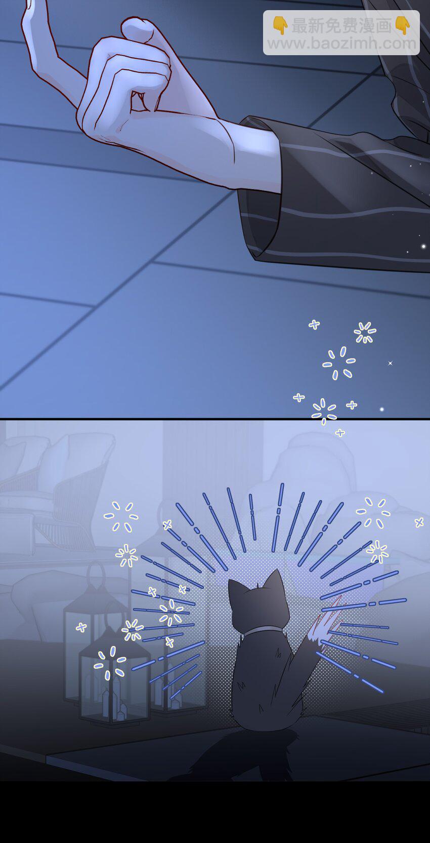 021 发现小黑猫(1/2)-第25话