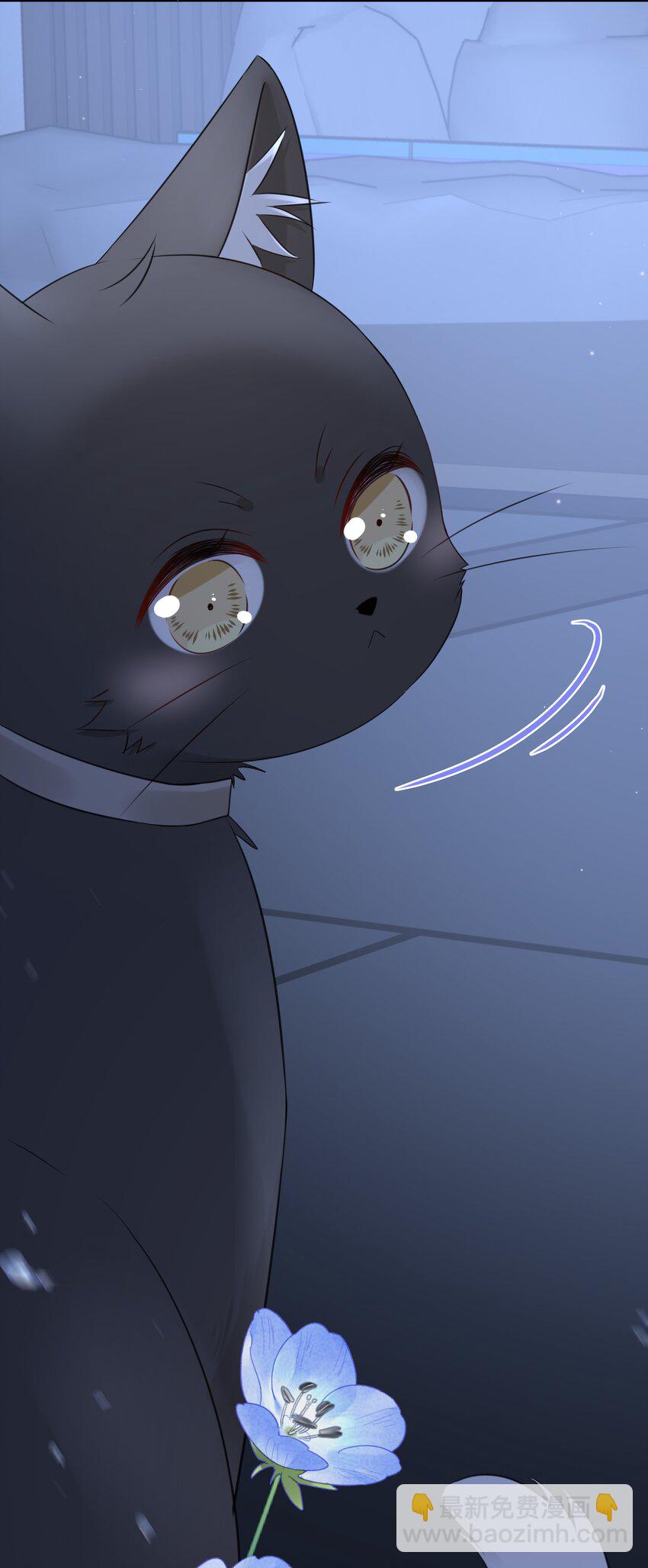 021 发现小黑猫(1/2)-第25话