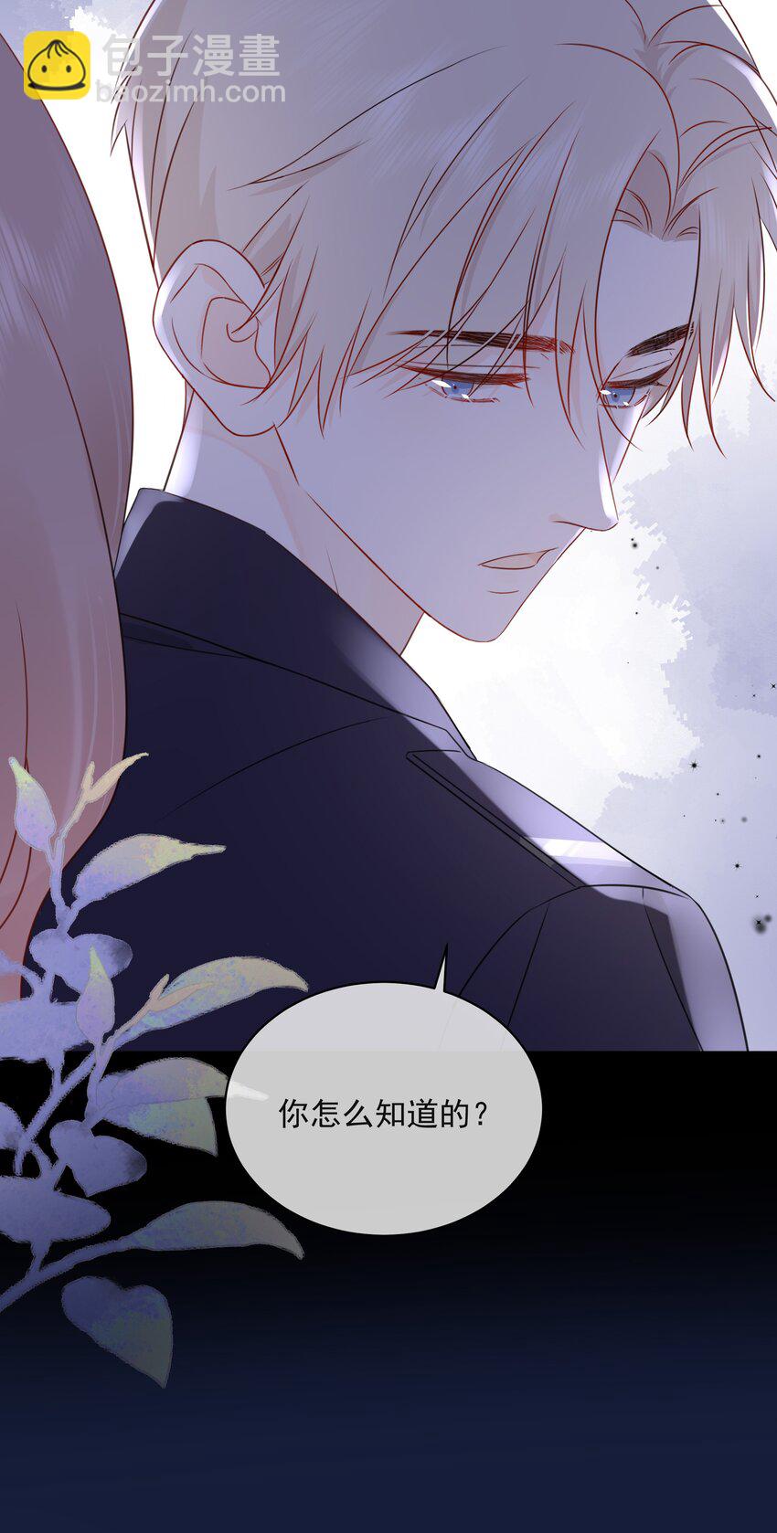 021 发现小黑猫(1/2)-第25话