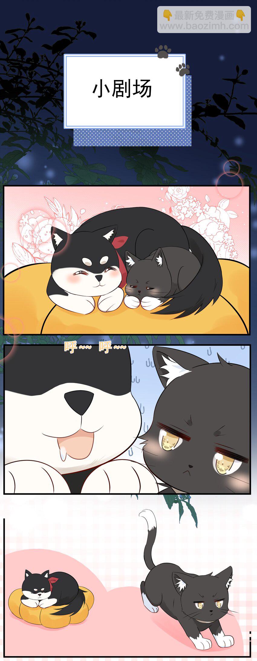 021 发现小黑猫(1/2)-第25话