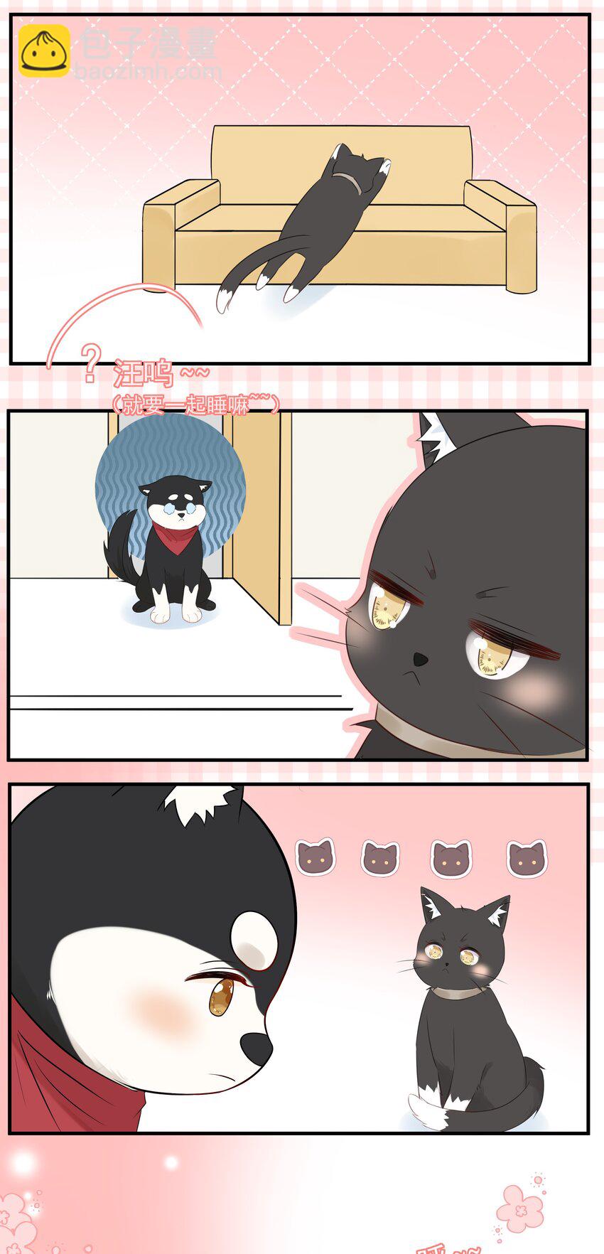 021 发现小黑猫(1/2)-第25话