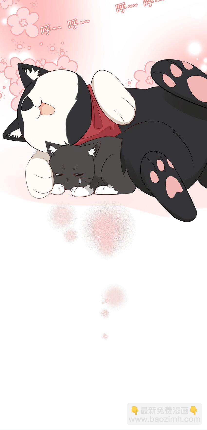 021 发现小黑猫(1/2)-第25话