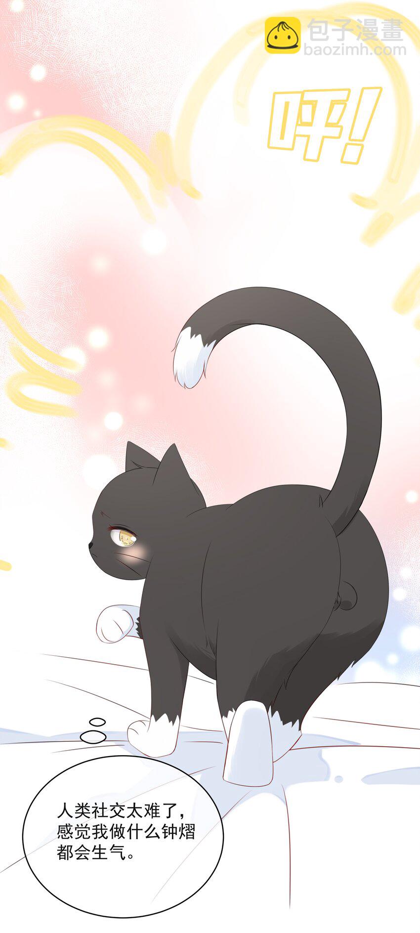 021 发现小黑猫(1/2)-第25话