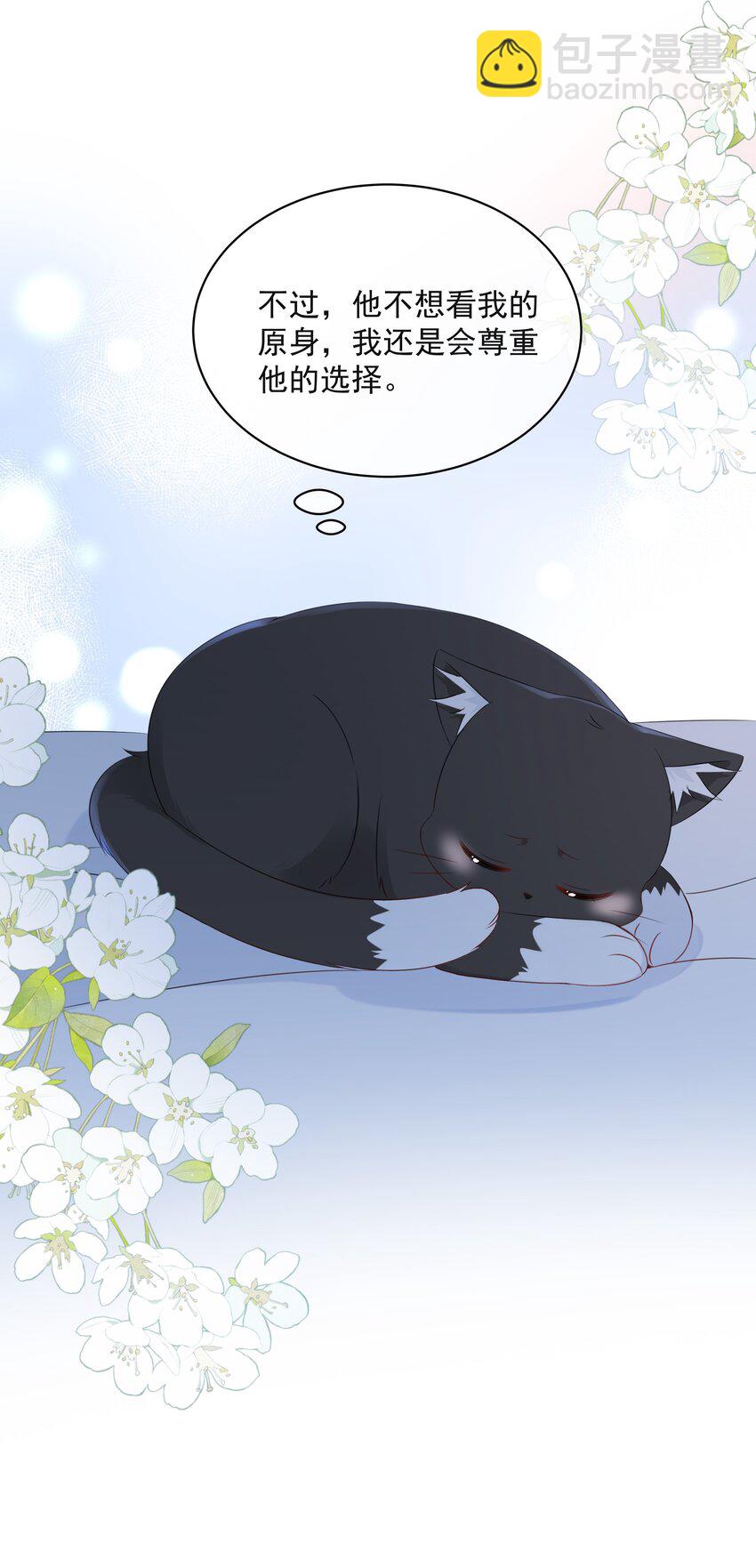 021 发现小黑猫(1/2)-第25话