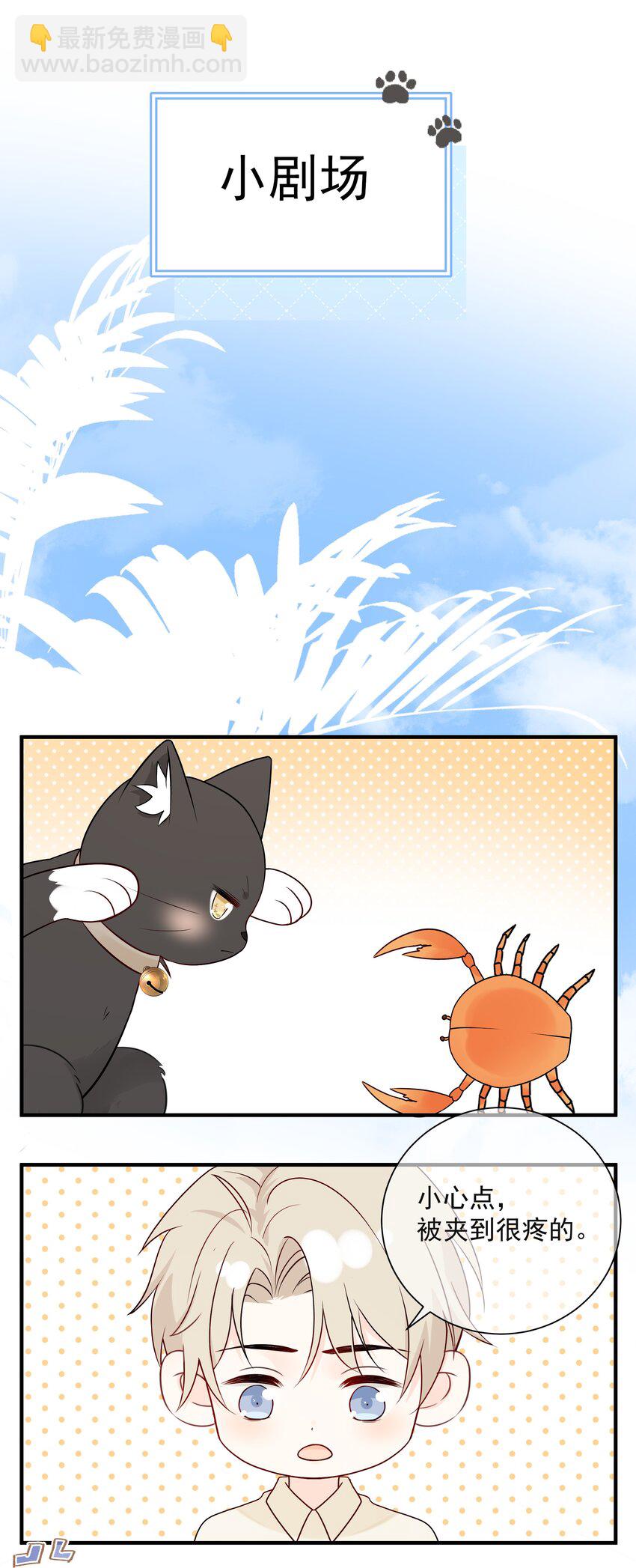 037 三豆竟然是&hellip;&hellip;？！(1/2)-第41话