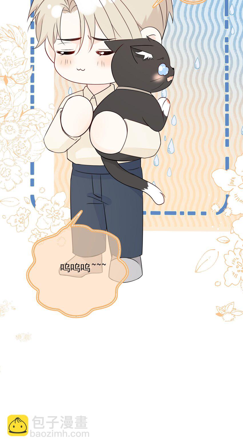 037 三豆竟然是&hellip;&hellip;？！(1/2)-第41话